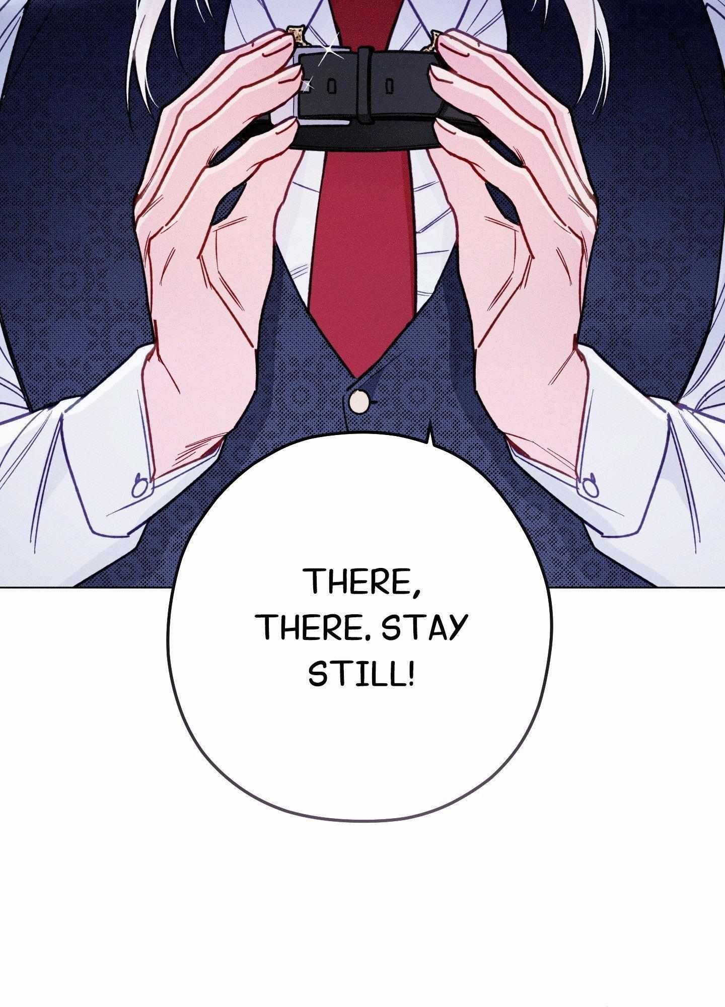 The Count Has Been Reincarnated Chapter 12 page 45 - 