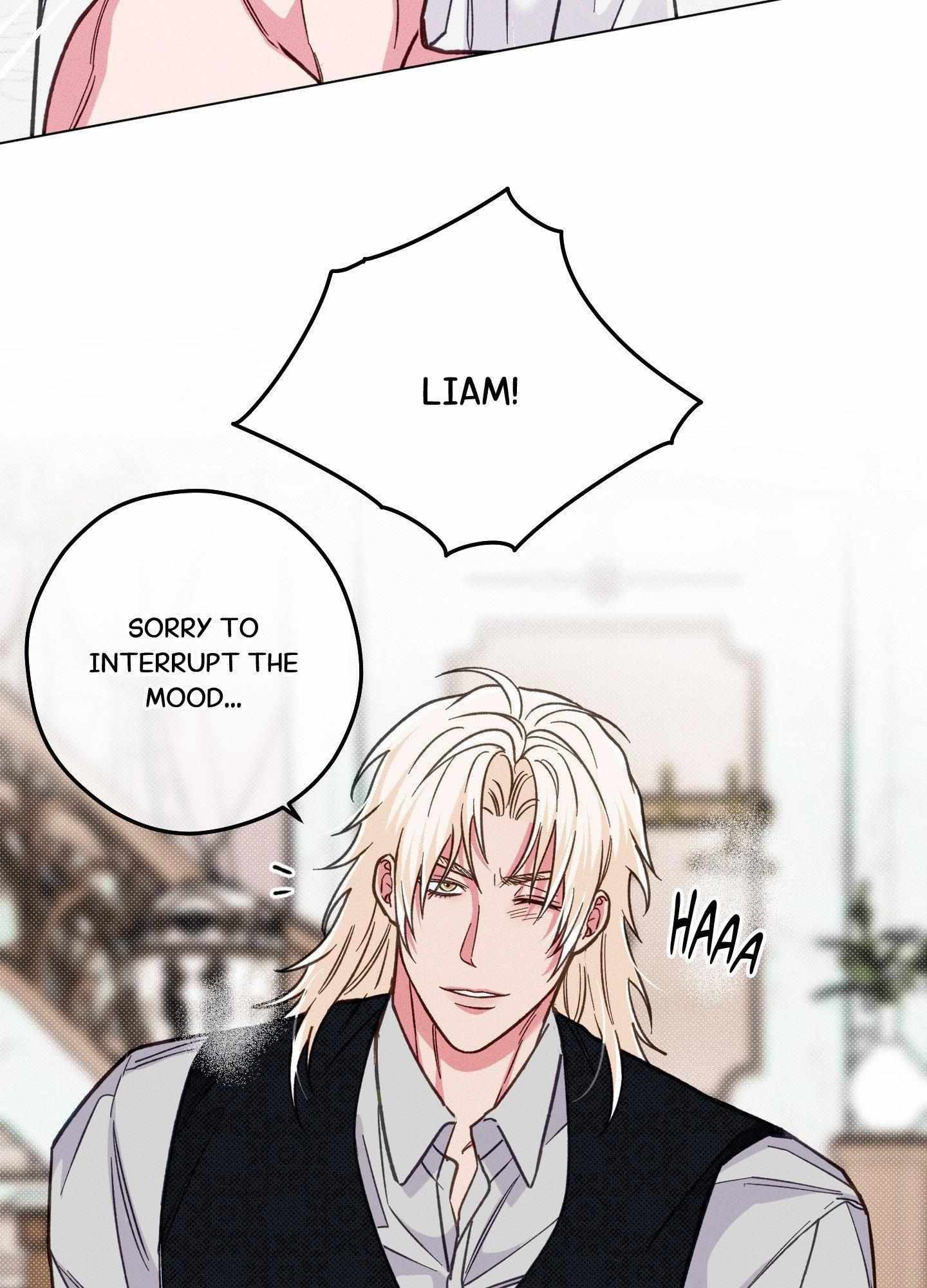 The Count Has Been Reincarnated Chapter 13 page 13 - 