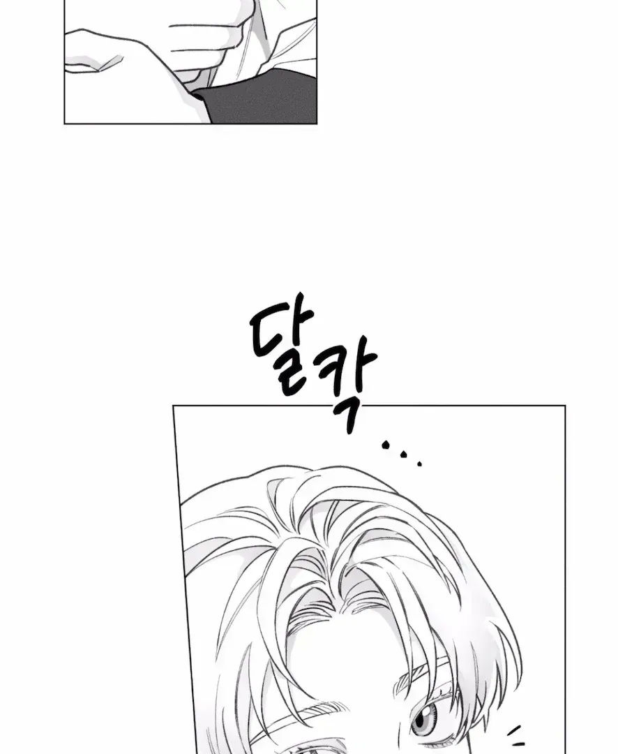 The Count Has Been Reincarnated Chapter 2.4 page 6 - 