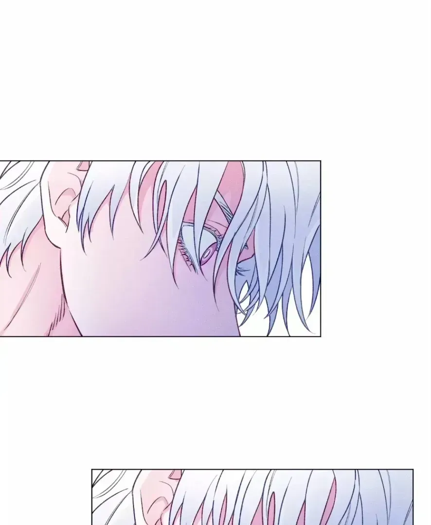 The Count Has Been Reincarnated Chapter 2.8 page 24 - 