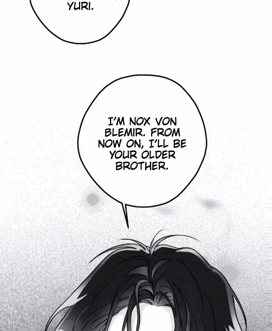The Count Has Been Reincarnated Chapter 2.9 page 14 - 