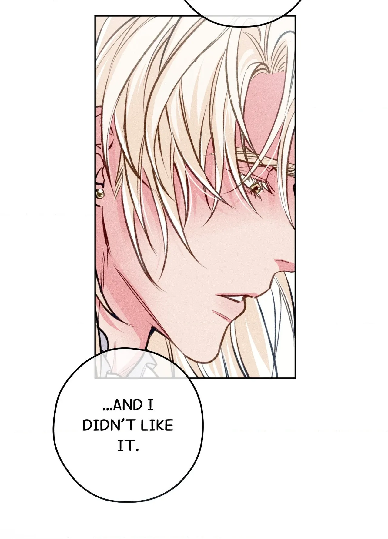 The Count Has Been Reincarnated Chapter 25 page 65 - 