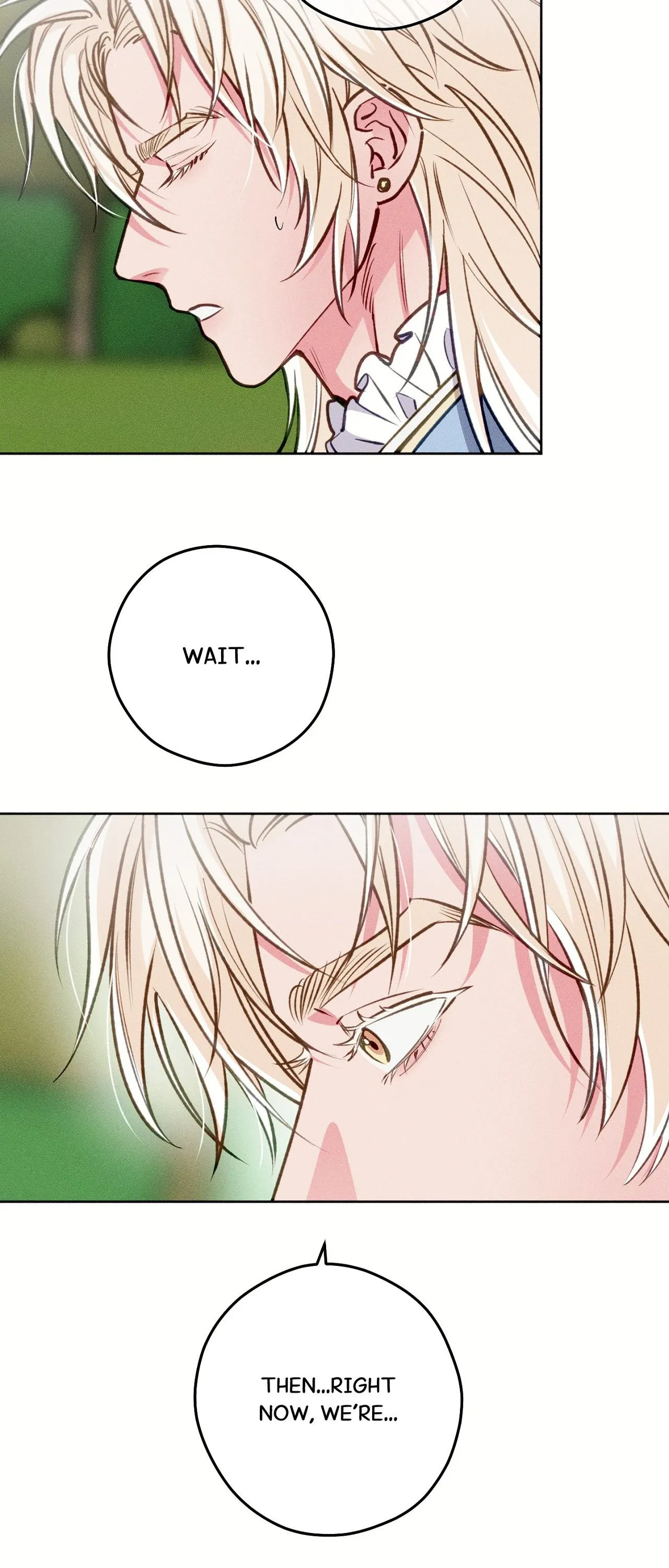 The Count Has Been Reincarnated Chapter 26 page 5 - 