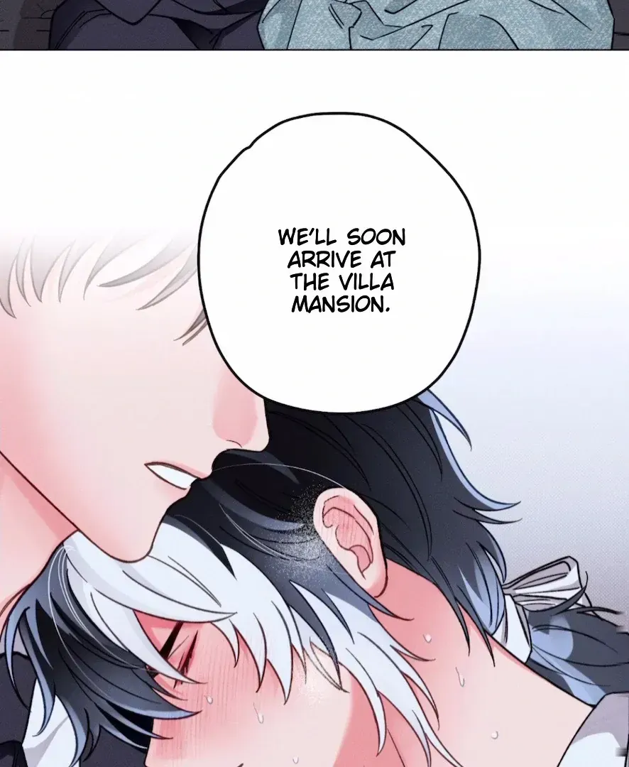 The Count Has Been Reincarnated Chapter 3.3 page 6 - 