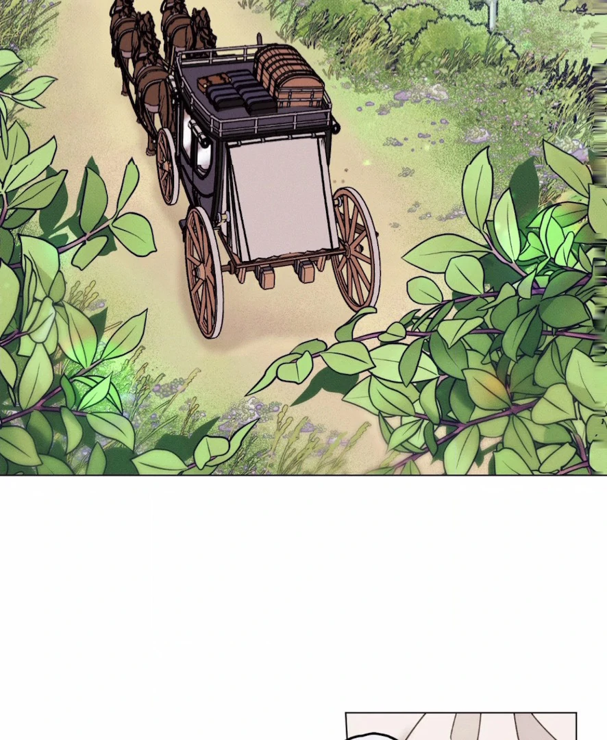 The Count Has Been Reincarnated Chapter 3 page 4 - 