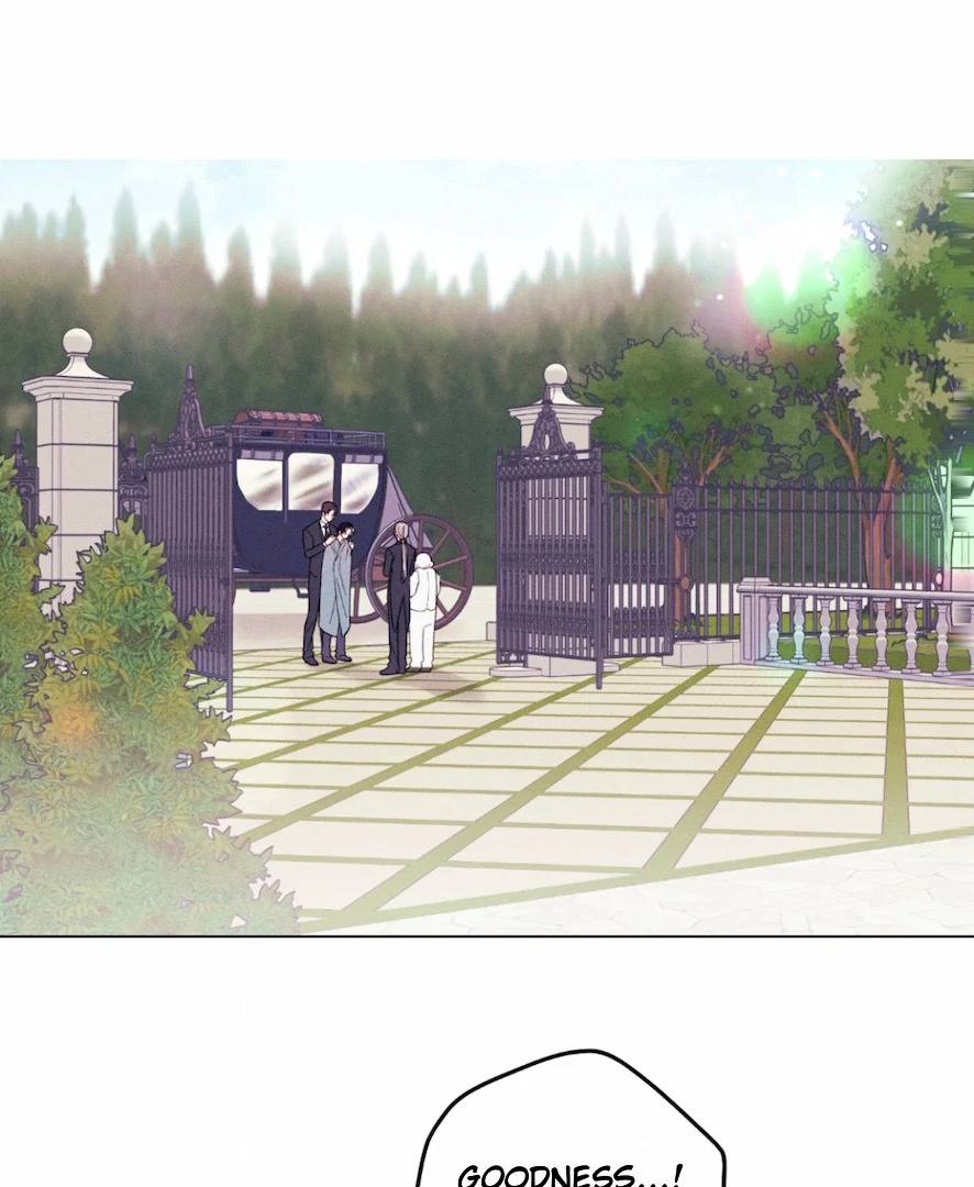 The Count Has Been Reincarnated Chapter 3 page 9 - 