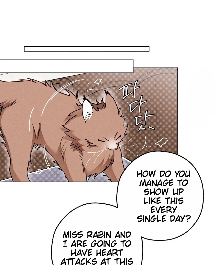 The Count Has Been Reincarnated Chapter 4 page 16 - 