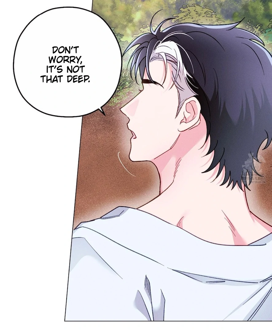 The Count Has Been Reincarnated Chapter 4 page 4 - 