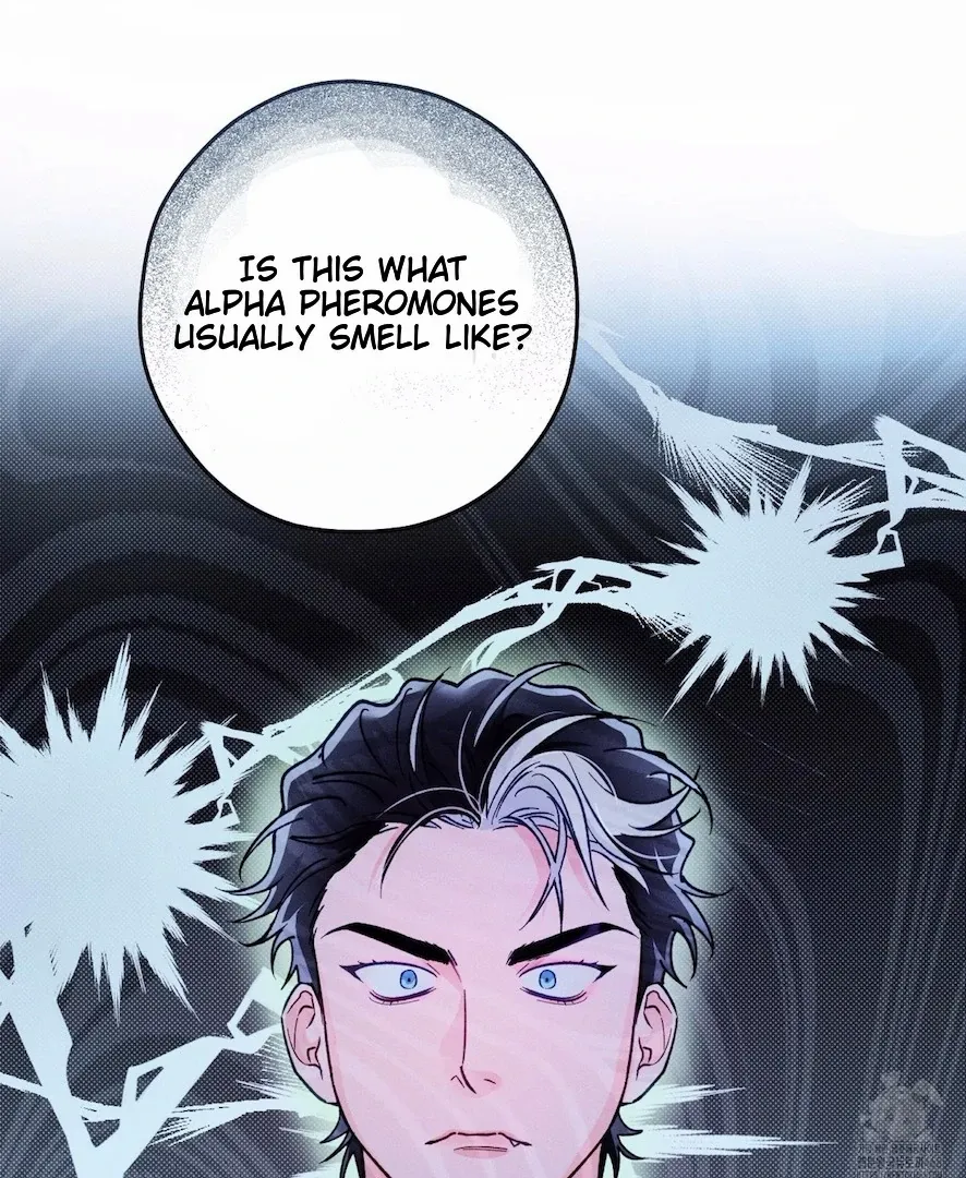 The Count Has Been Reincarnated Chapter 5 page 70 - 