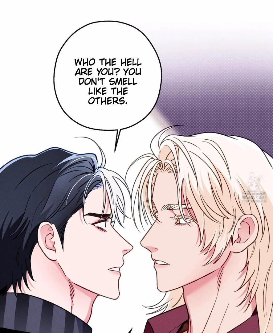 The Count Has Been Reincarnated Chapter 6 page 16 - 