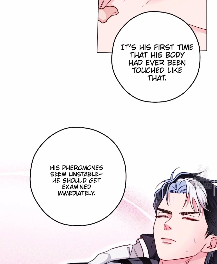 The Count Has Been Reincarnated Chapter 8 page 18 - 