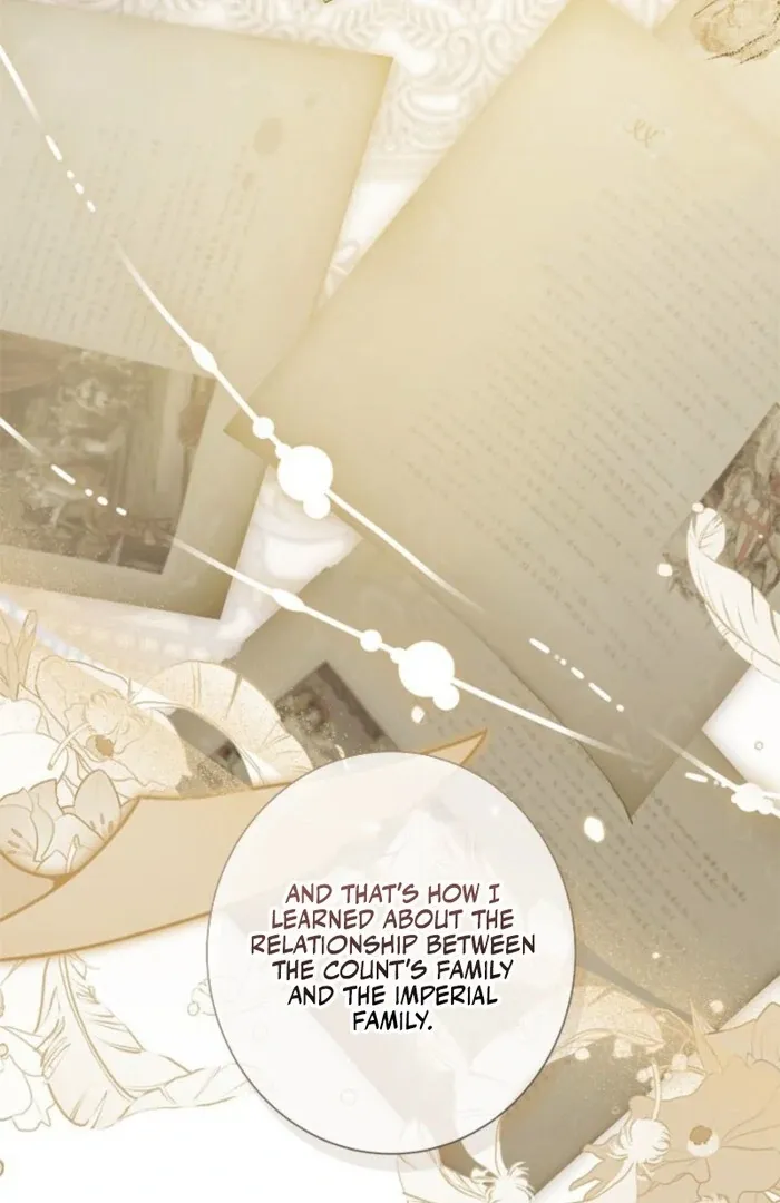 The Count