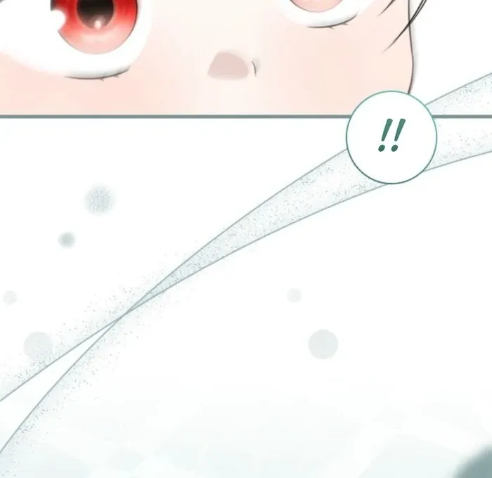 The Count