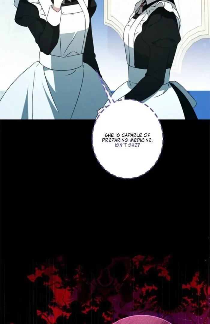 The Count