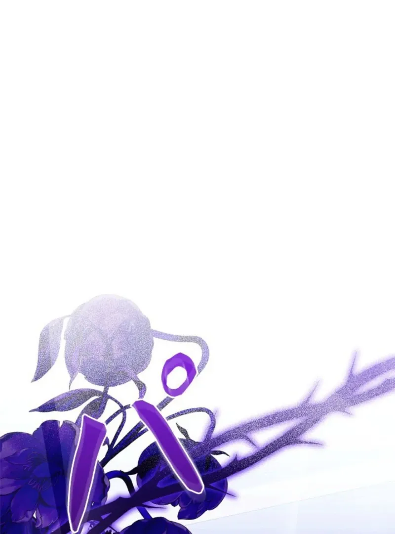 The Count