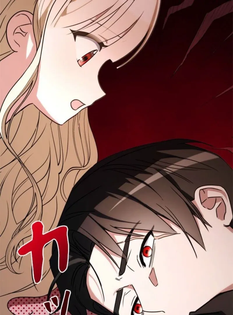 The Count