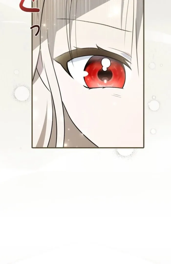 The Count