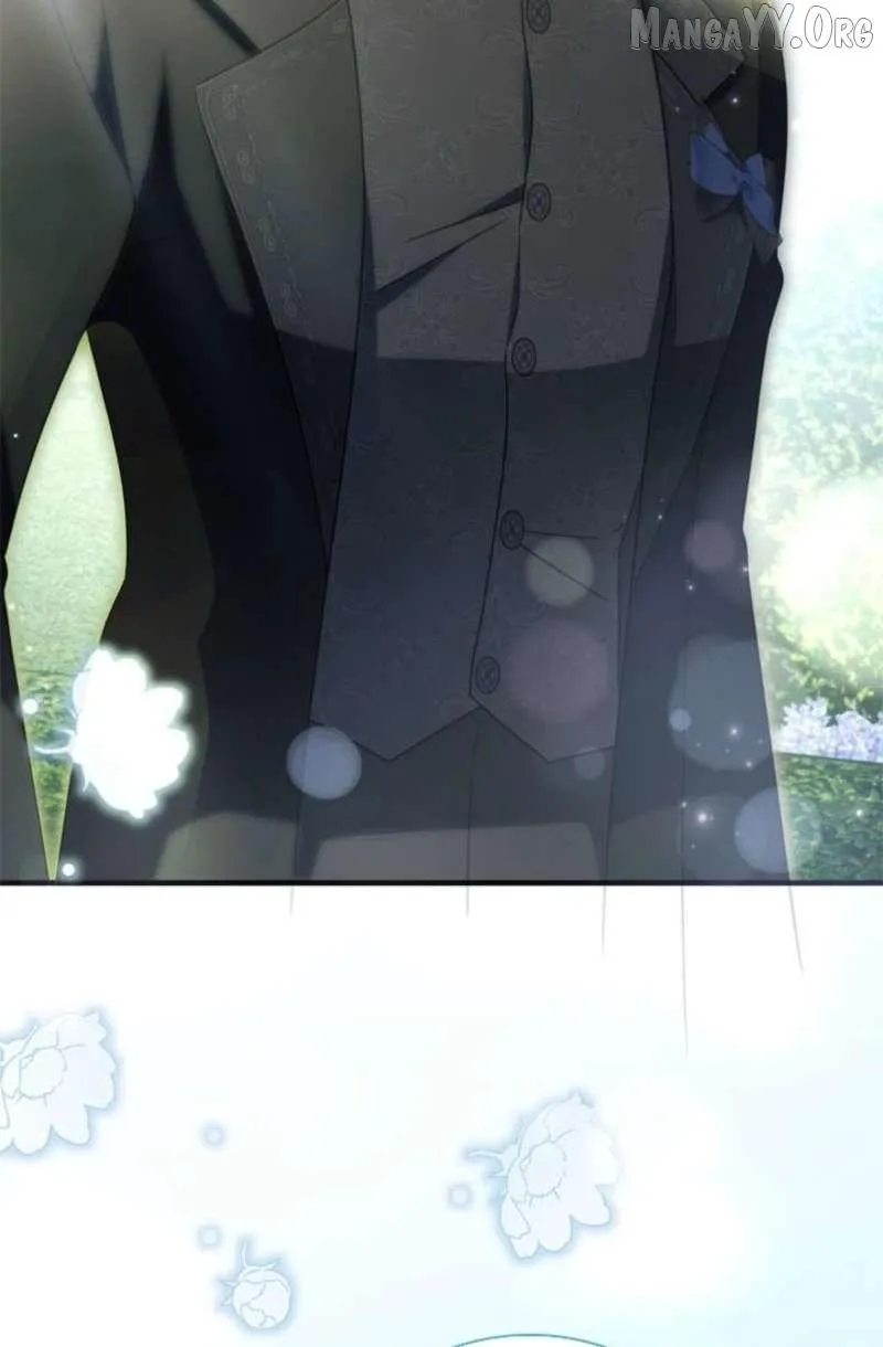 The Count