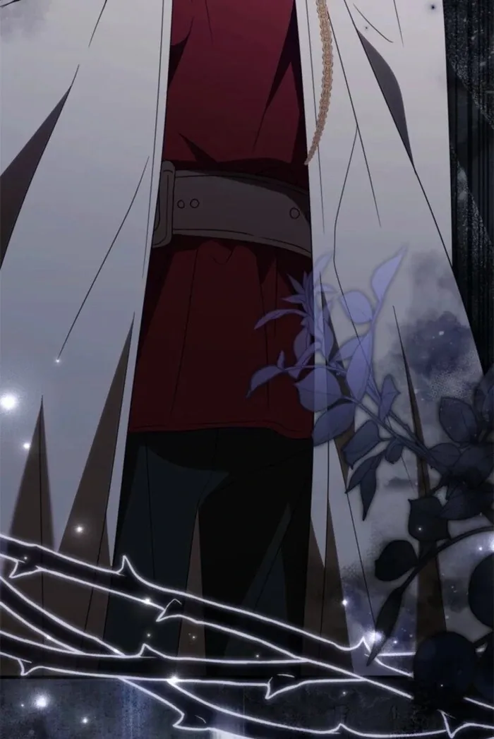 The Count