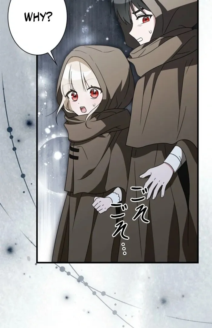 The Count