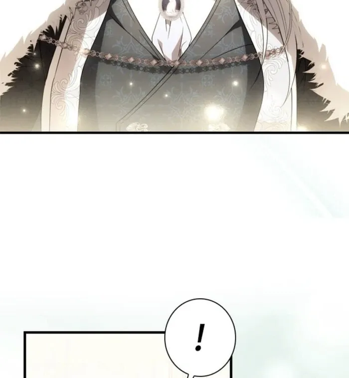 The Count