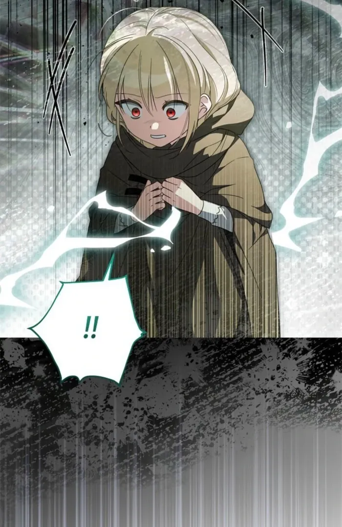 The Count
