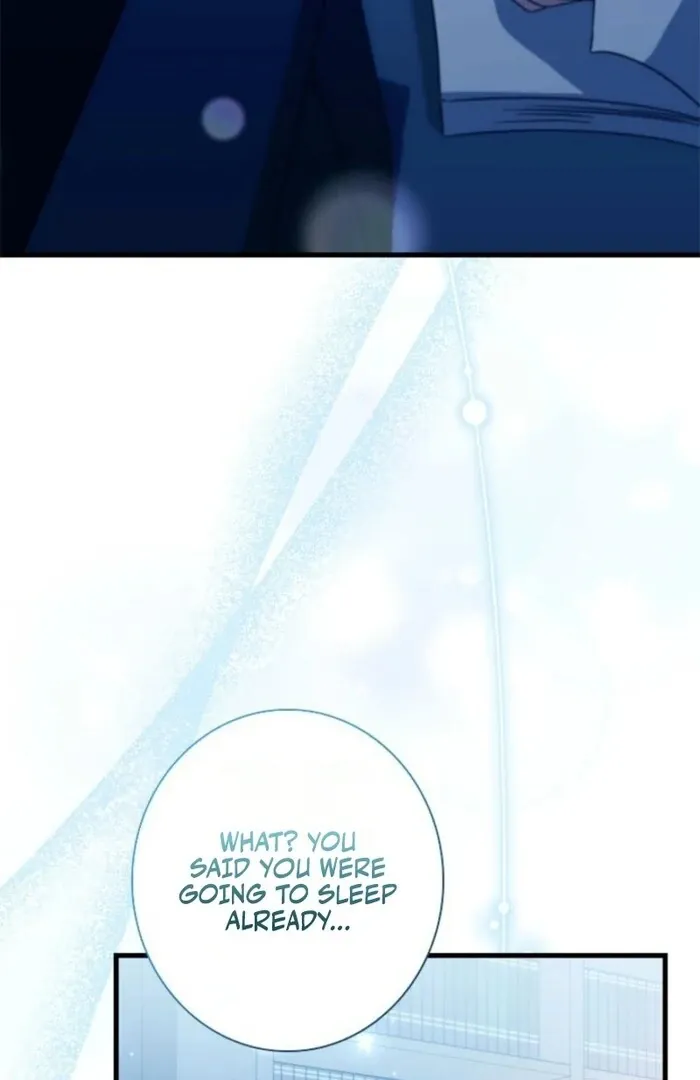 The Count