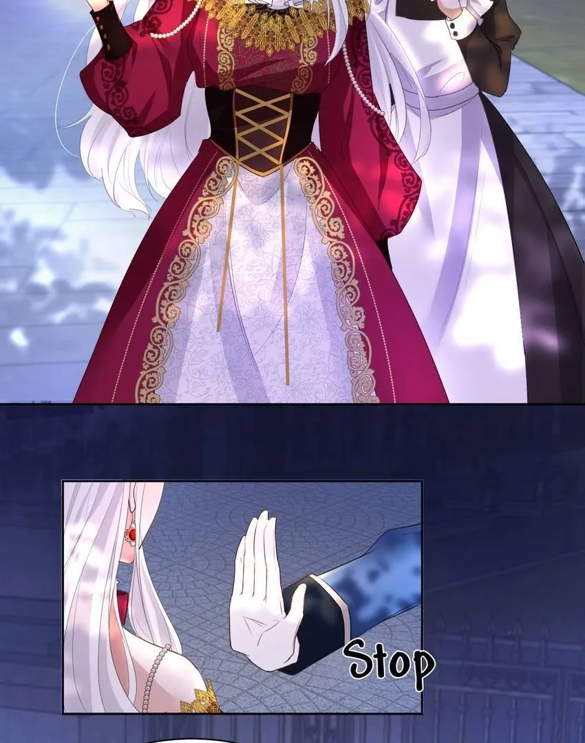 The Count