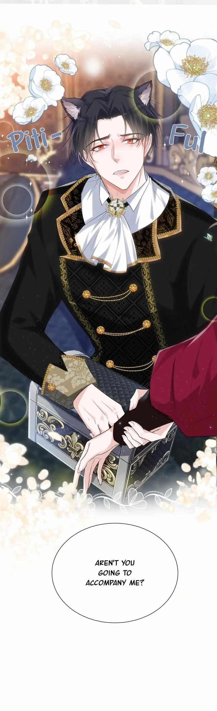 The Count