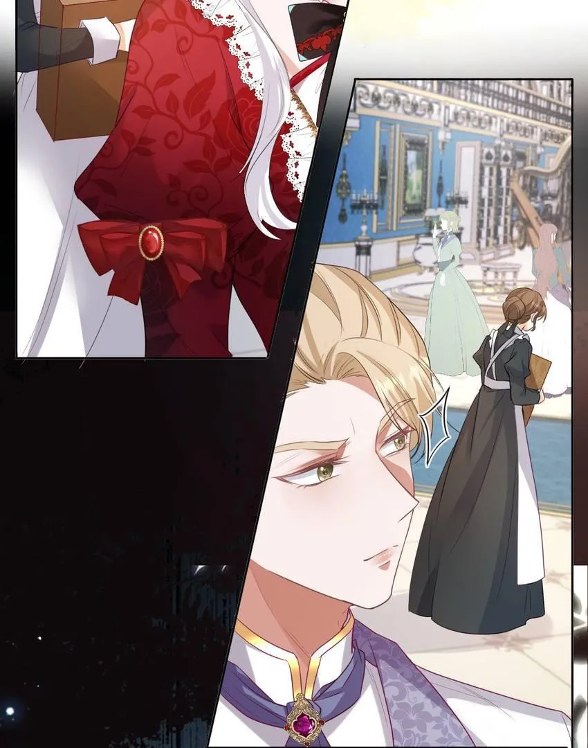 The Count