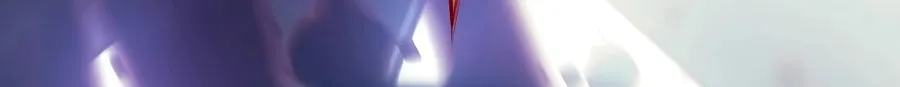 The Count
