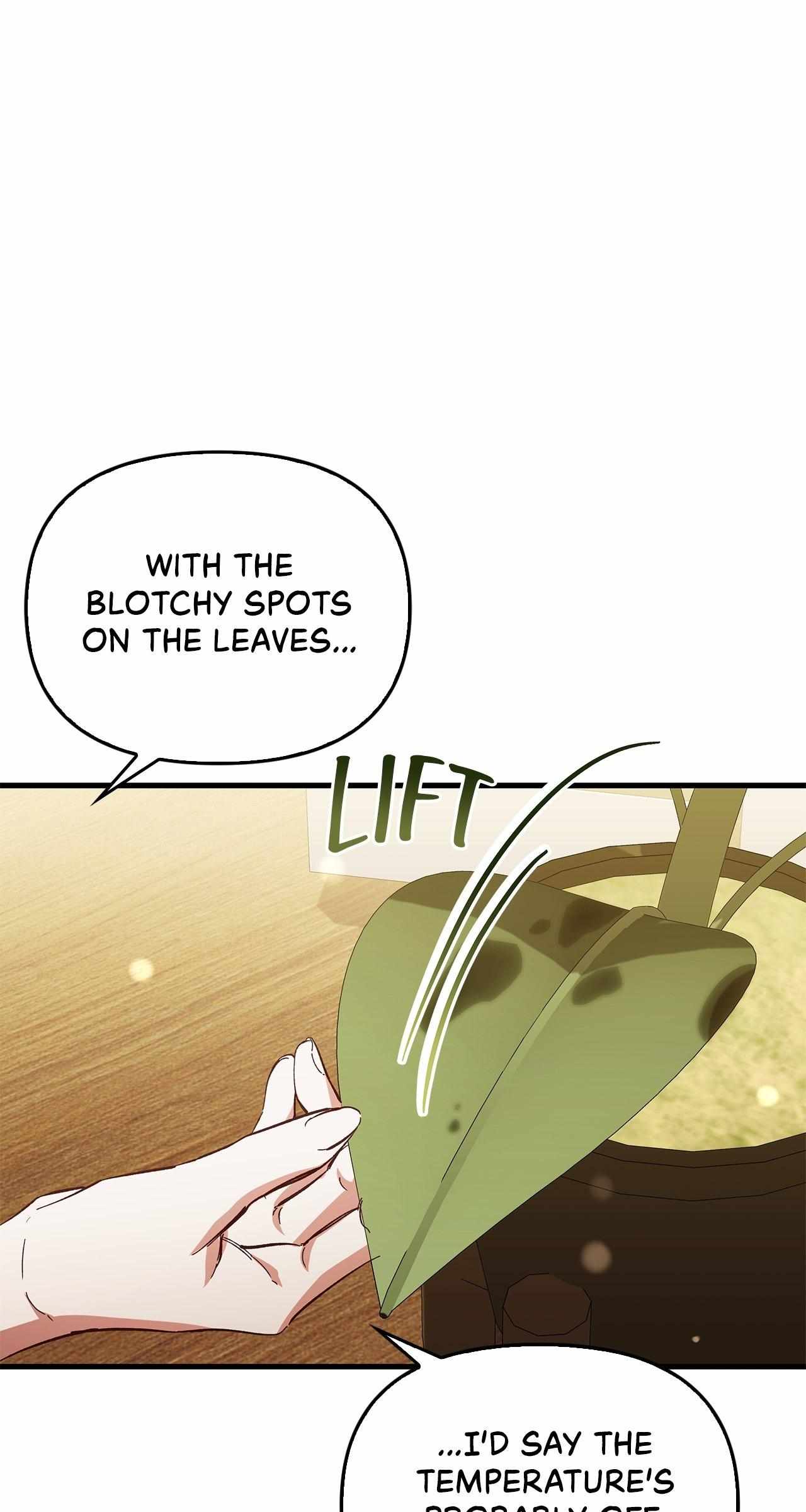 The Countess Makes a Comeback Chapter 17 page 86 - 