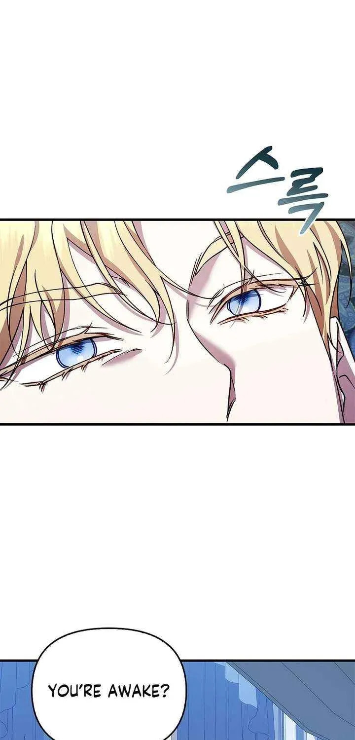 The Countess Makes a Comeback Chapter 33 page 64 - 