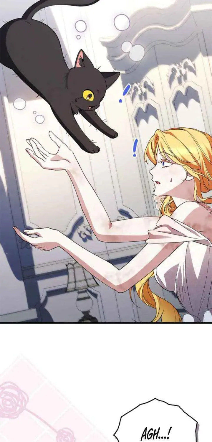 The Countess Makes a Comeback Chapter 36 page 63 - 
