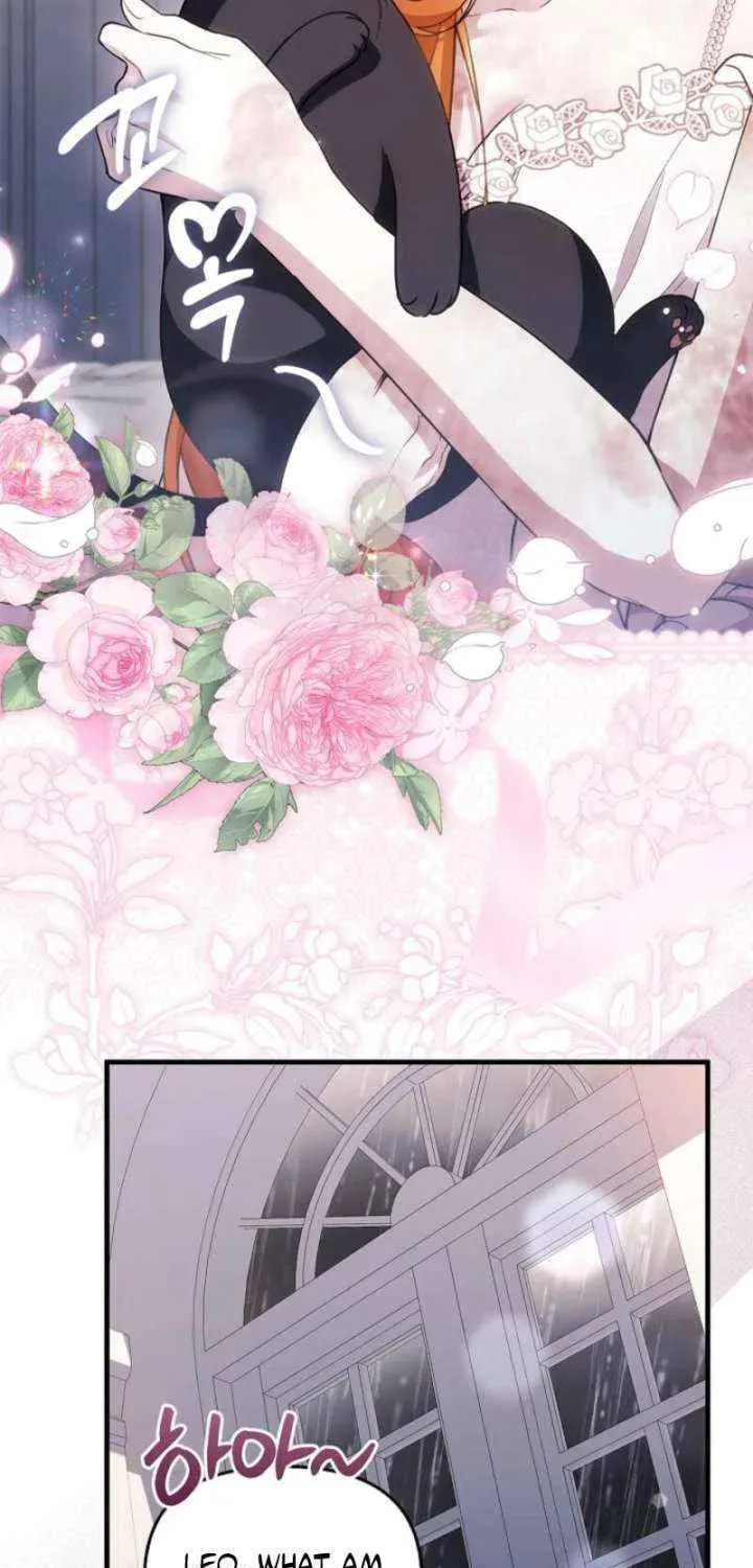 The Countess Makes a Comeback Chapter 36 page 70 - 