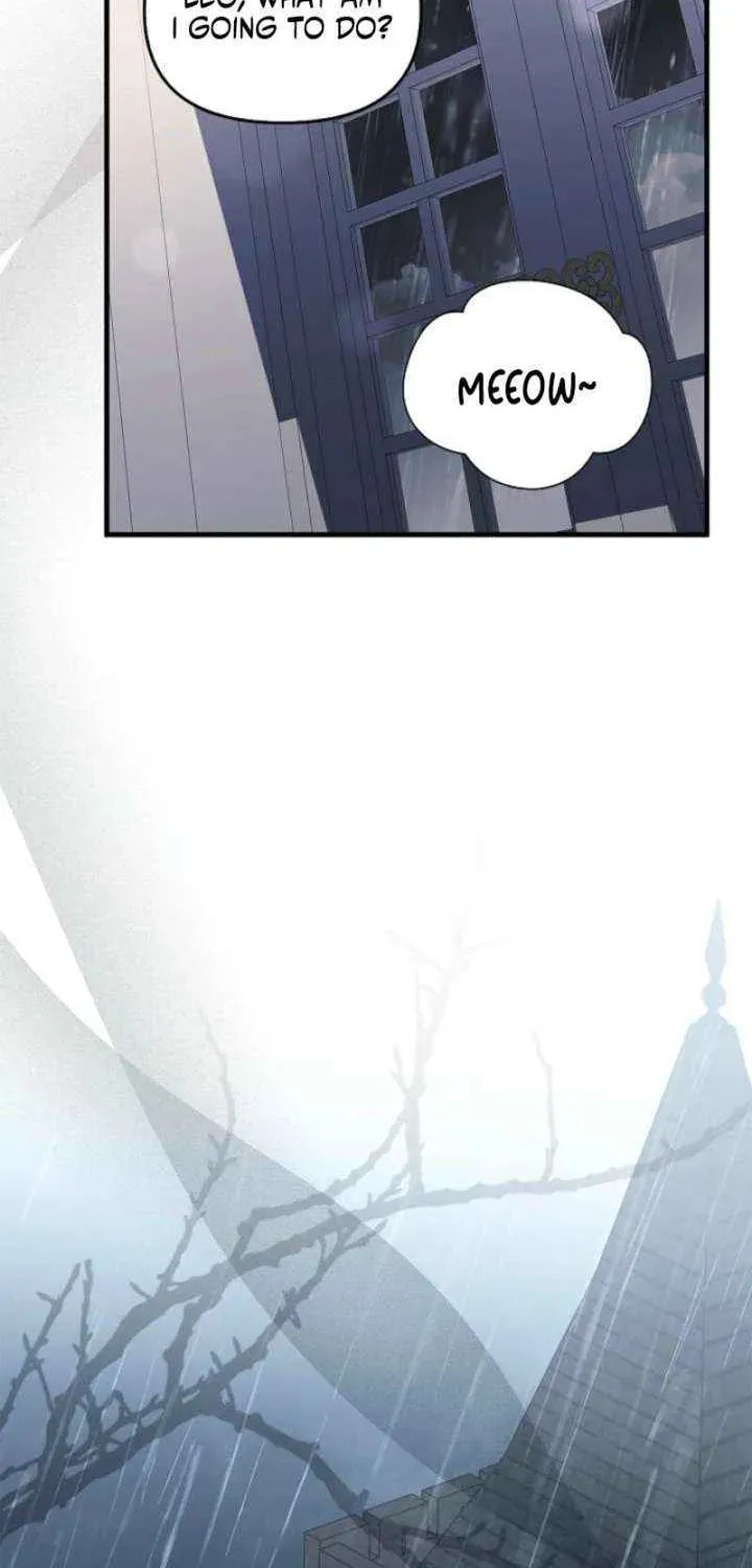 The Countess Makes a Comeback Chapter 36 page 71 - 