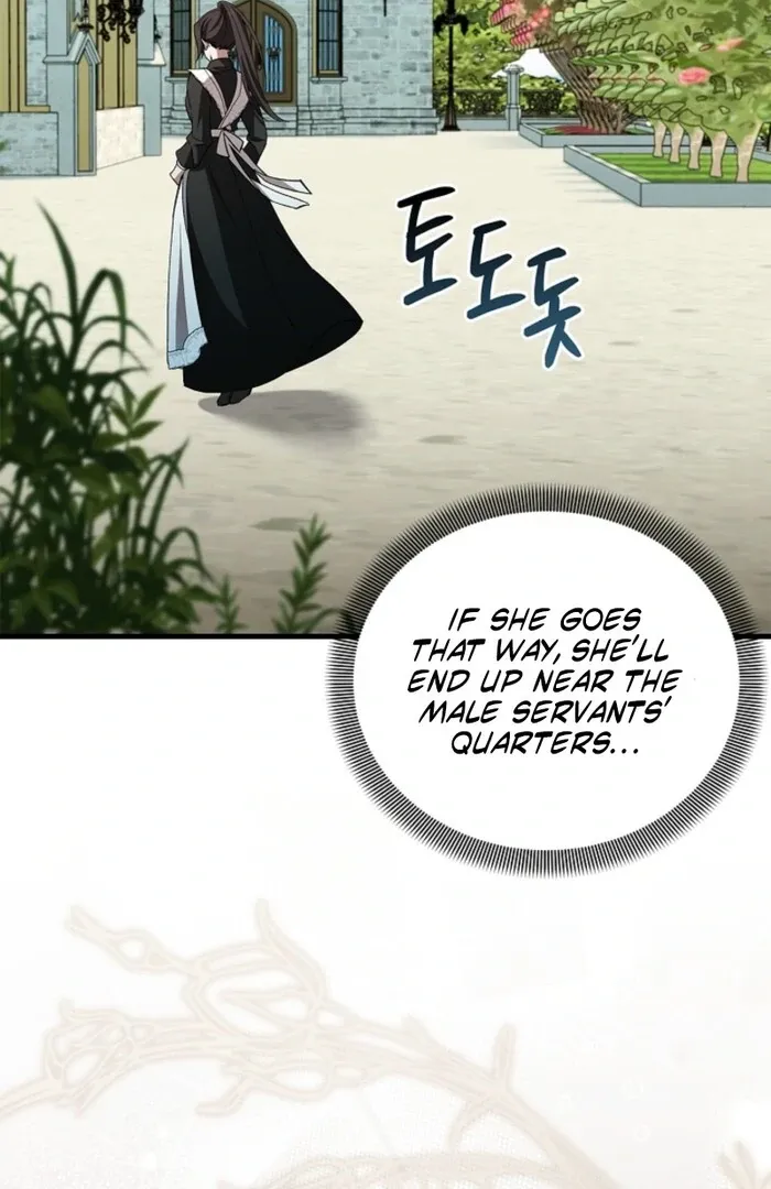 The Countess Who Ran Away Has Returned Chapter 17 page 17 - 