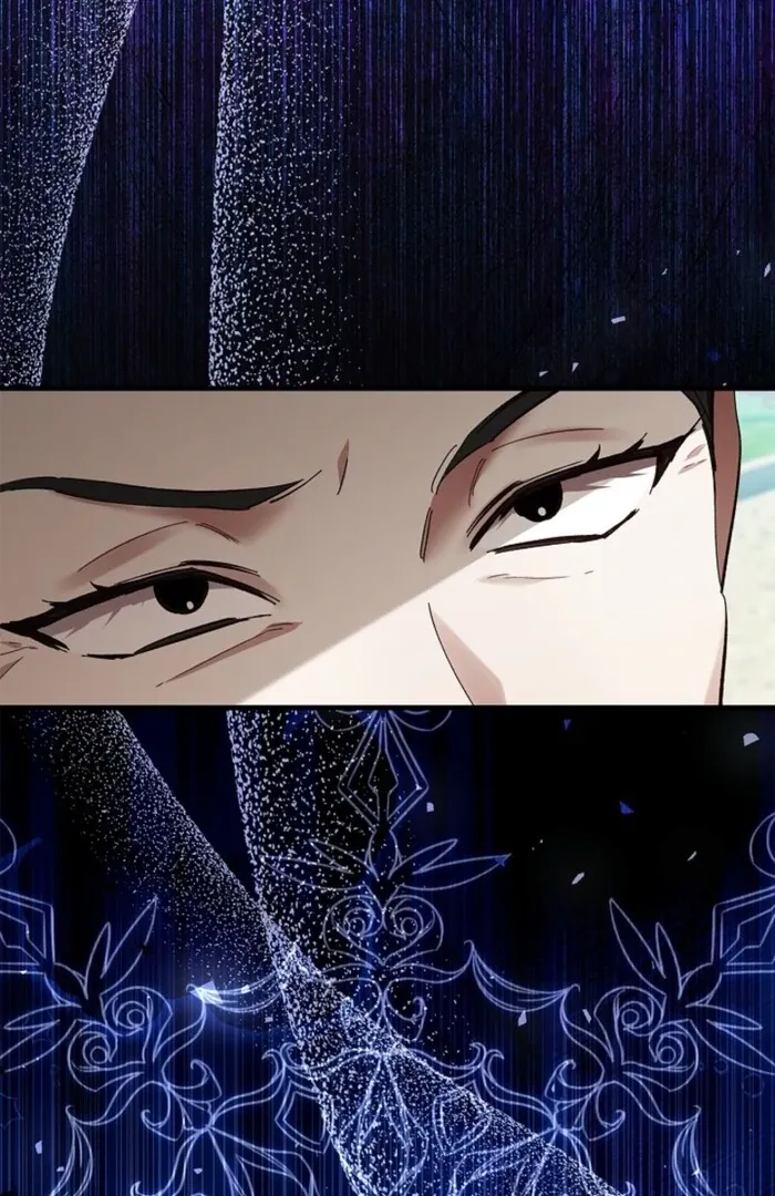 The Countess Who Ran Away Has Returned Chapter 17 page 25 - 