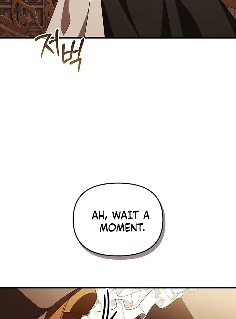 The Countess Who Ran Away Has Returned Chapter 19 page 13 - 