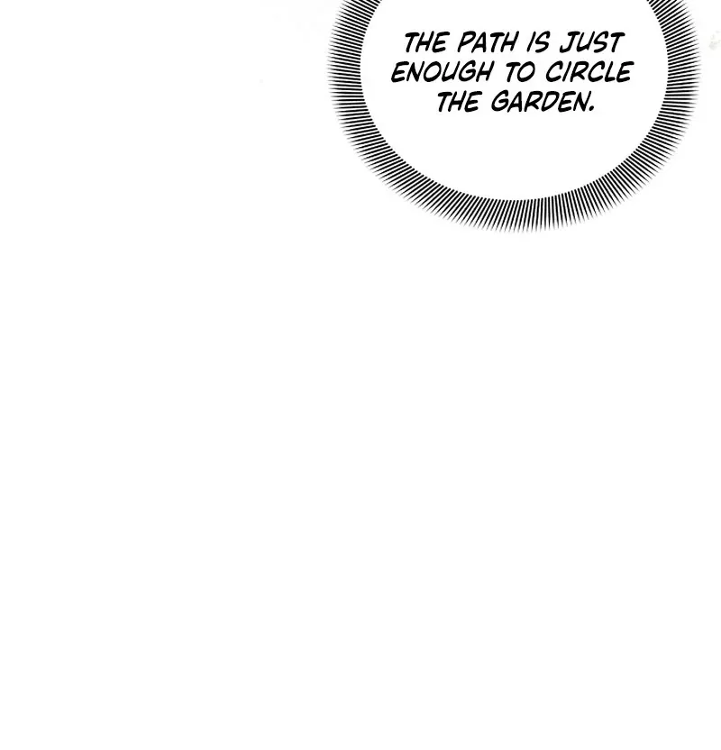 The Countess Who Ran Away Has Returned Chapter 19 page 44 - 