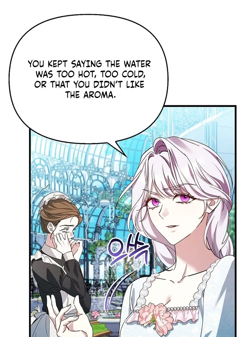 The Countess Who Ran Away Has Returned Chapter 19 page 67 - 