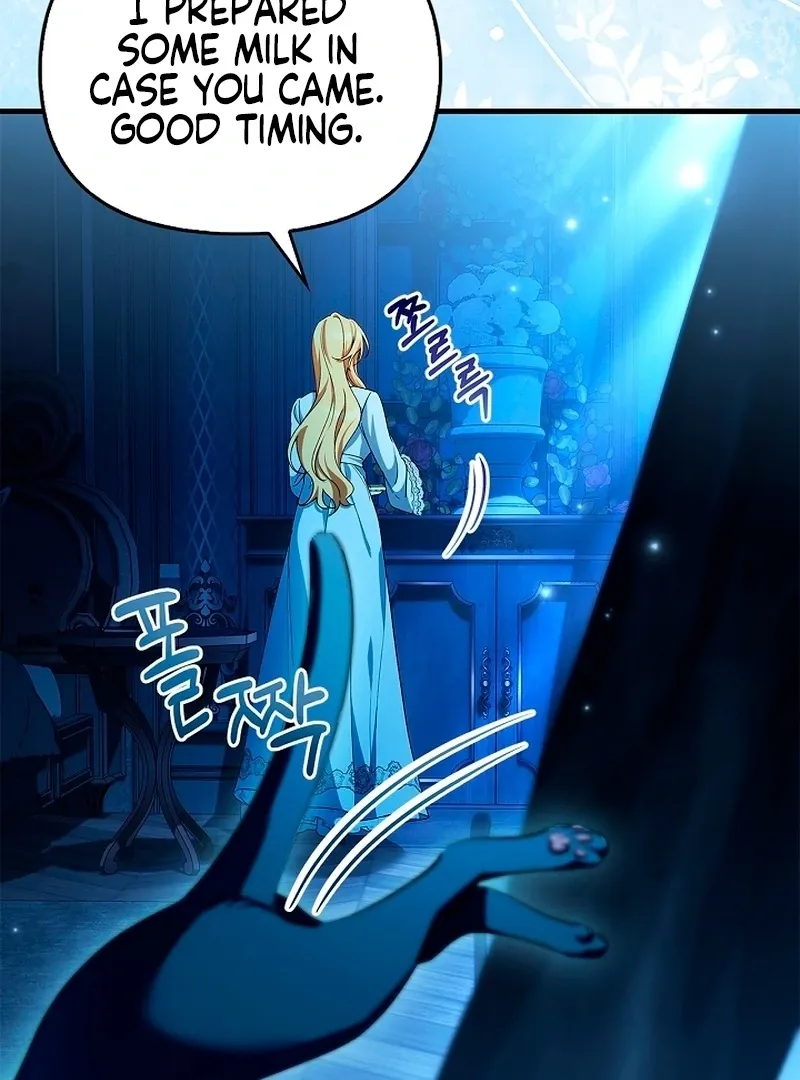 The Countess Who Ran Away Has Returned Chapter 20 page 11 - 