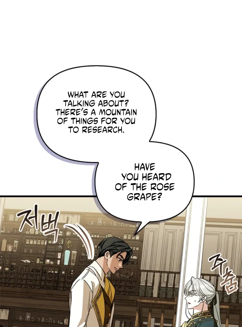 The Countess Who Ran Away Has Returned Chapter 25 page 42 - 