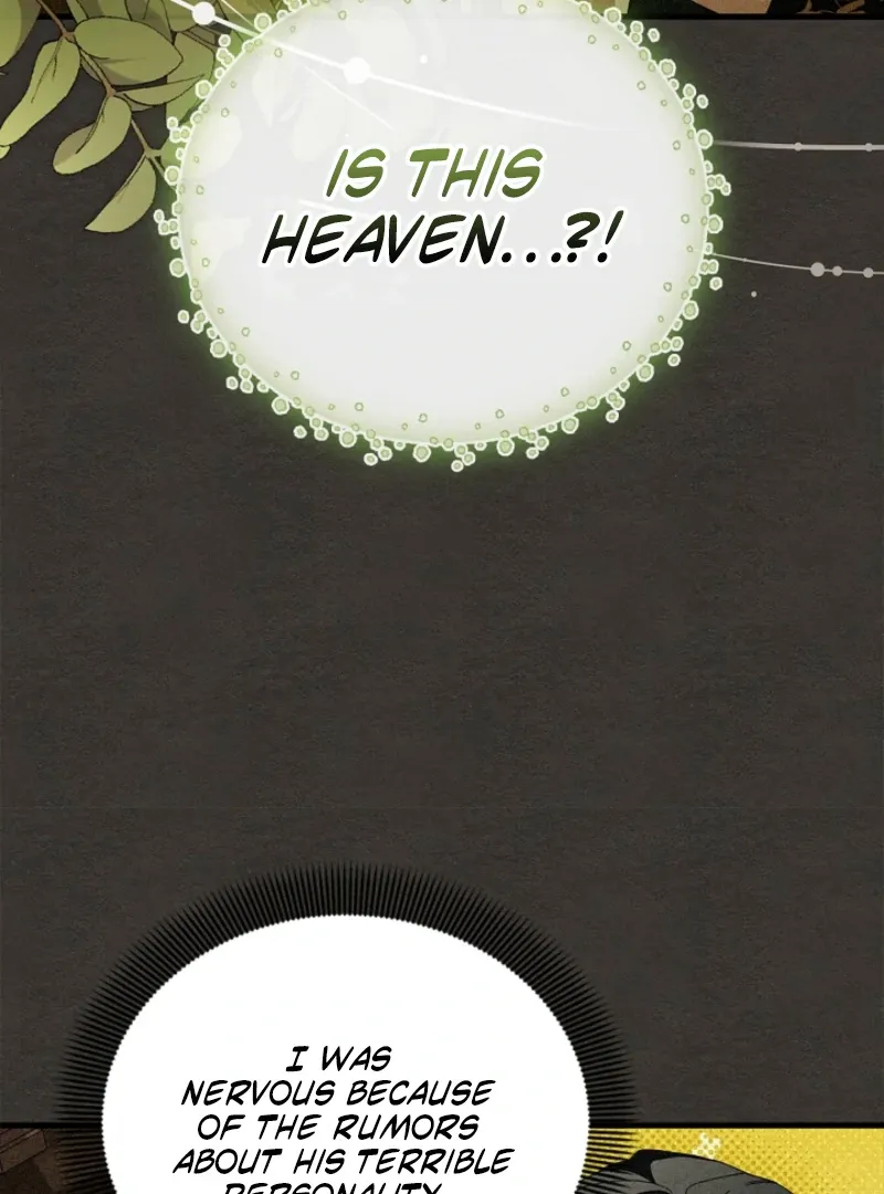 The Countess Who Ran Away Has Returned Chapter 25 page 10 - 