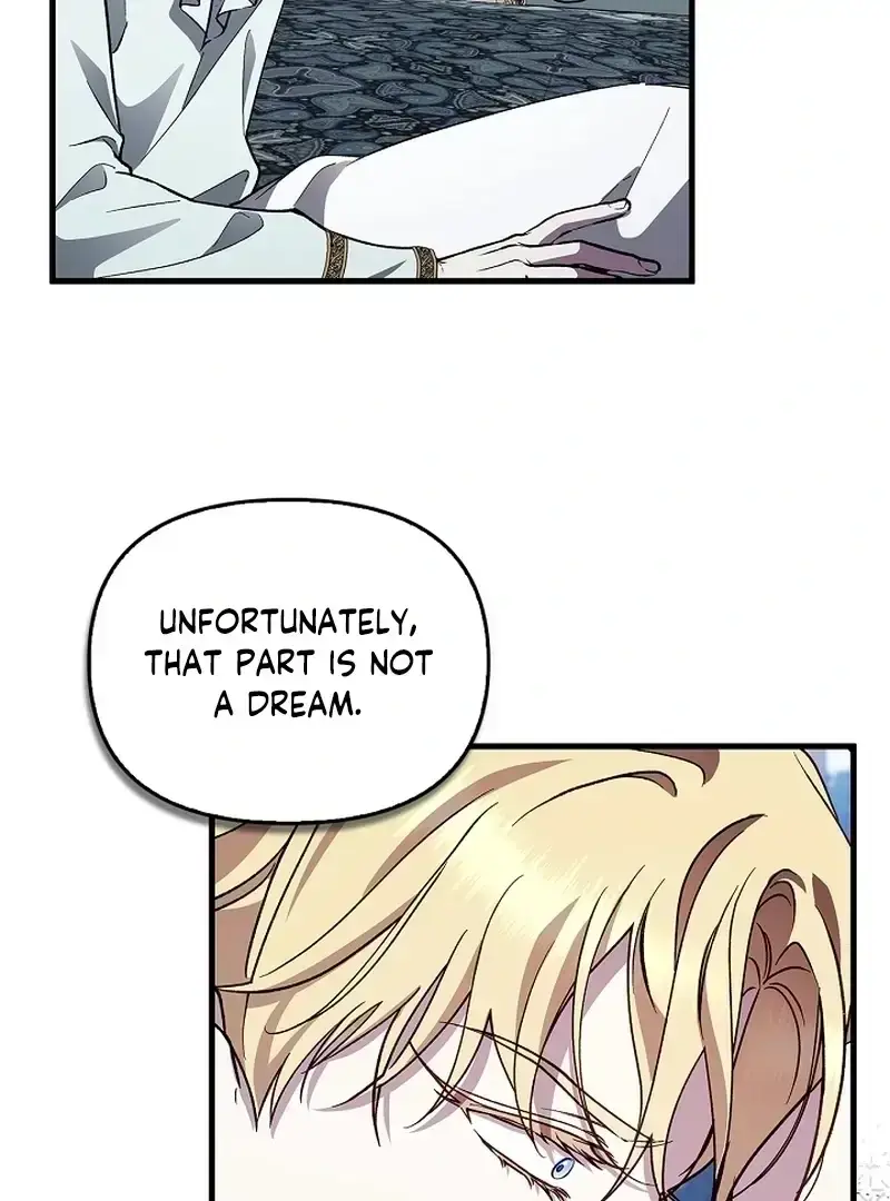 The Countess Who Ran Away Has Returned Chapter 33 page 101 - 