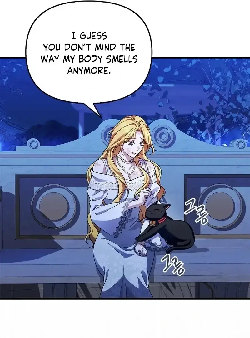 The Countess Who Ran Away Has Returned Chapter 33 page 45 - 