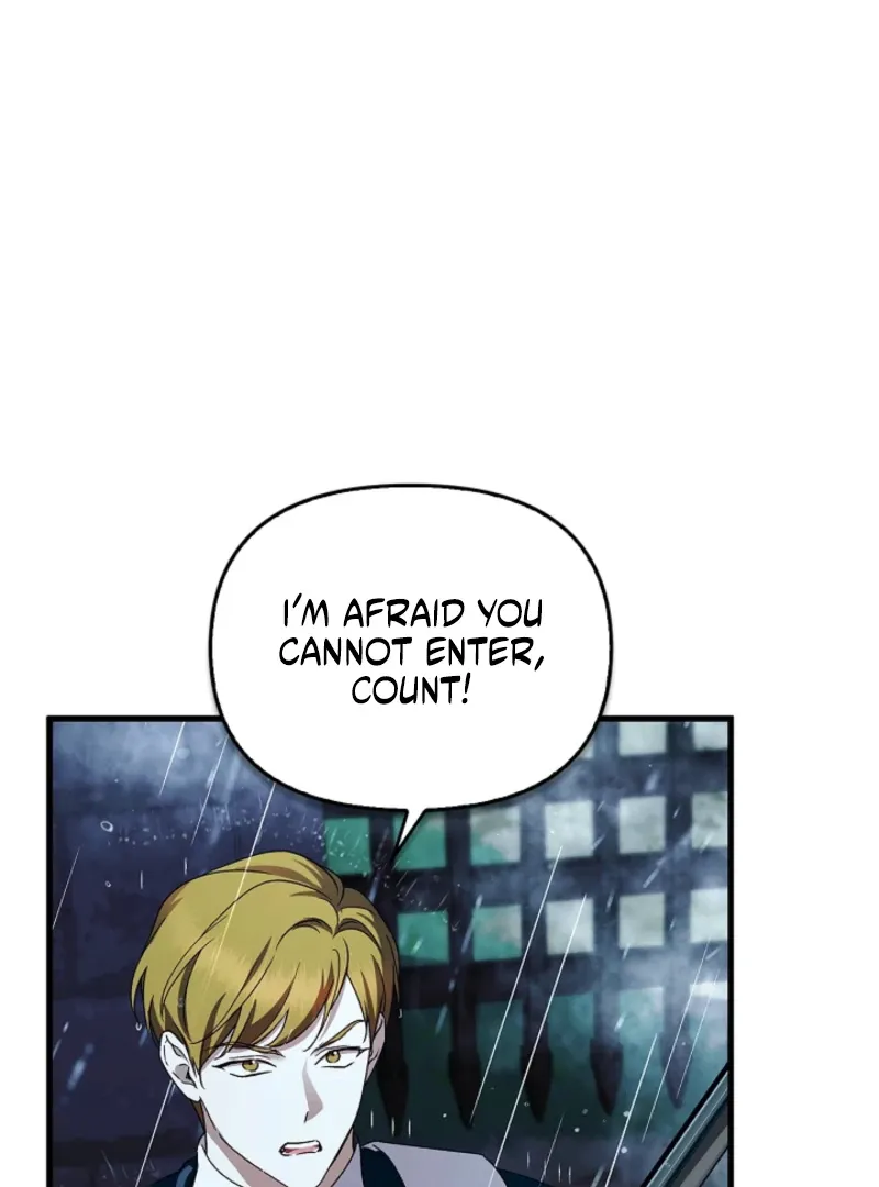 The Countess Who Ran Away Has Returned Chapter 37 page 29 - 