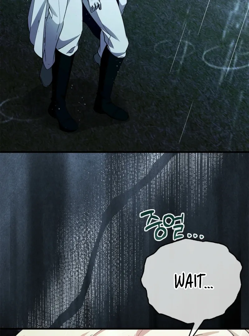 The Countess Who Ran Away Has Returned Chapter 37 page 78 - 
