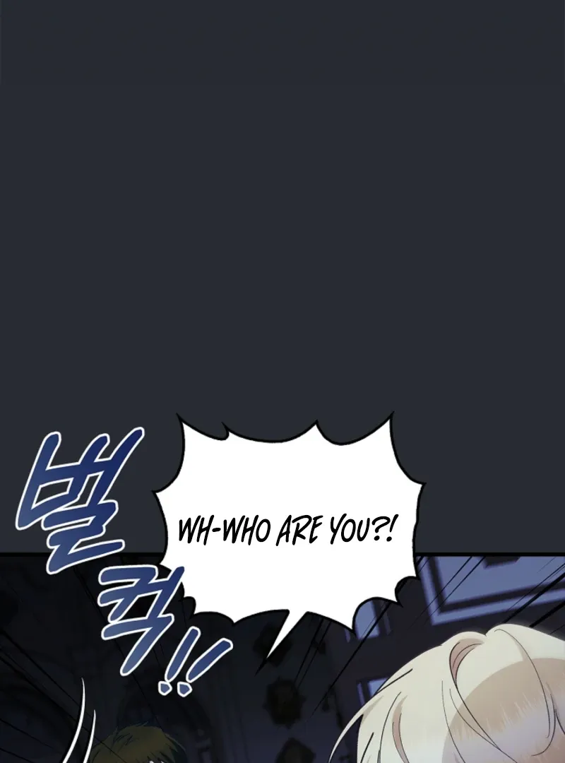 The Countess Who Ran Away Has Returned Chapter 37 page 10 - 