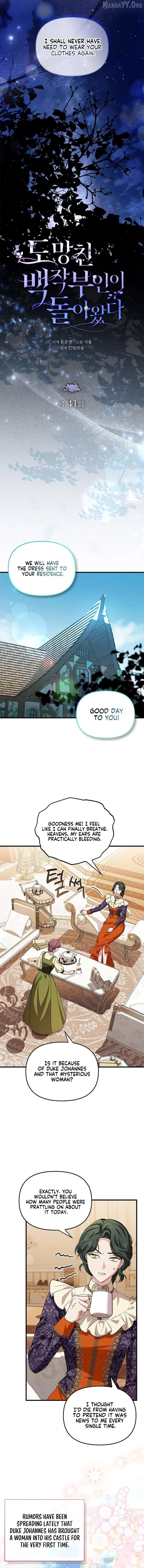 The Countess Who Ran Away Has Returned Chapter 41 page 11 - 